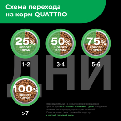 Корм сухой для щенков породы Японский хин, премиум полнорационный комплекс, с ягненком, 800 гр, QUATTRO