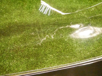 DSCN0129.JPG