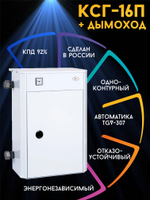Котел газовый парапетный ЛУЧ КСГ-16П + дымоход 160 м2 (только отопление)