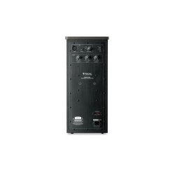 Сабвуфер Focal SHAPE TWIN EU UK