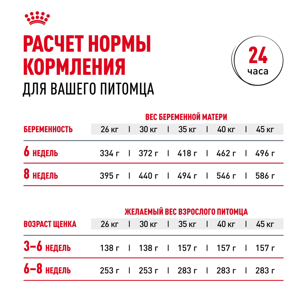Royal Canin Maxi Starter Макси Стартер мазэ энд бэбидог Корм для щенков крупных пород до 2-х месяцев беременных и кормящих собак 4кг