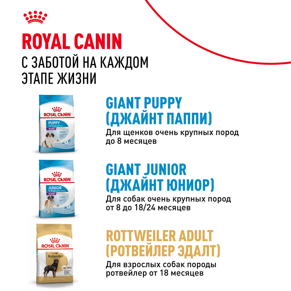 Royal Canin Giant Adult Джайнт Эдалт Корм сухой для взрослых собак очень крупных пород от 18 месяцев 4кг