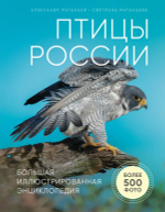 Птицы России. Большая иллюстрированная энциклопедия