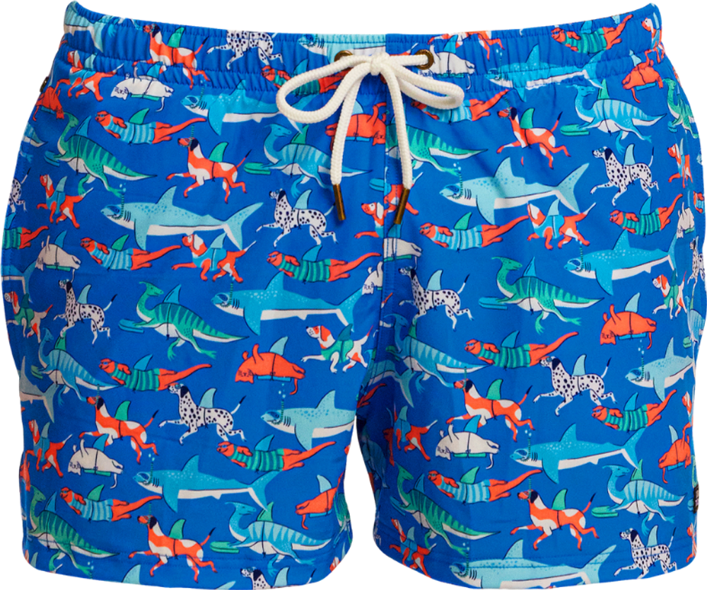 Шорты FUNKY TRUNKS Men's Fin Swimming