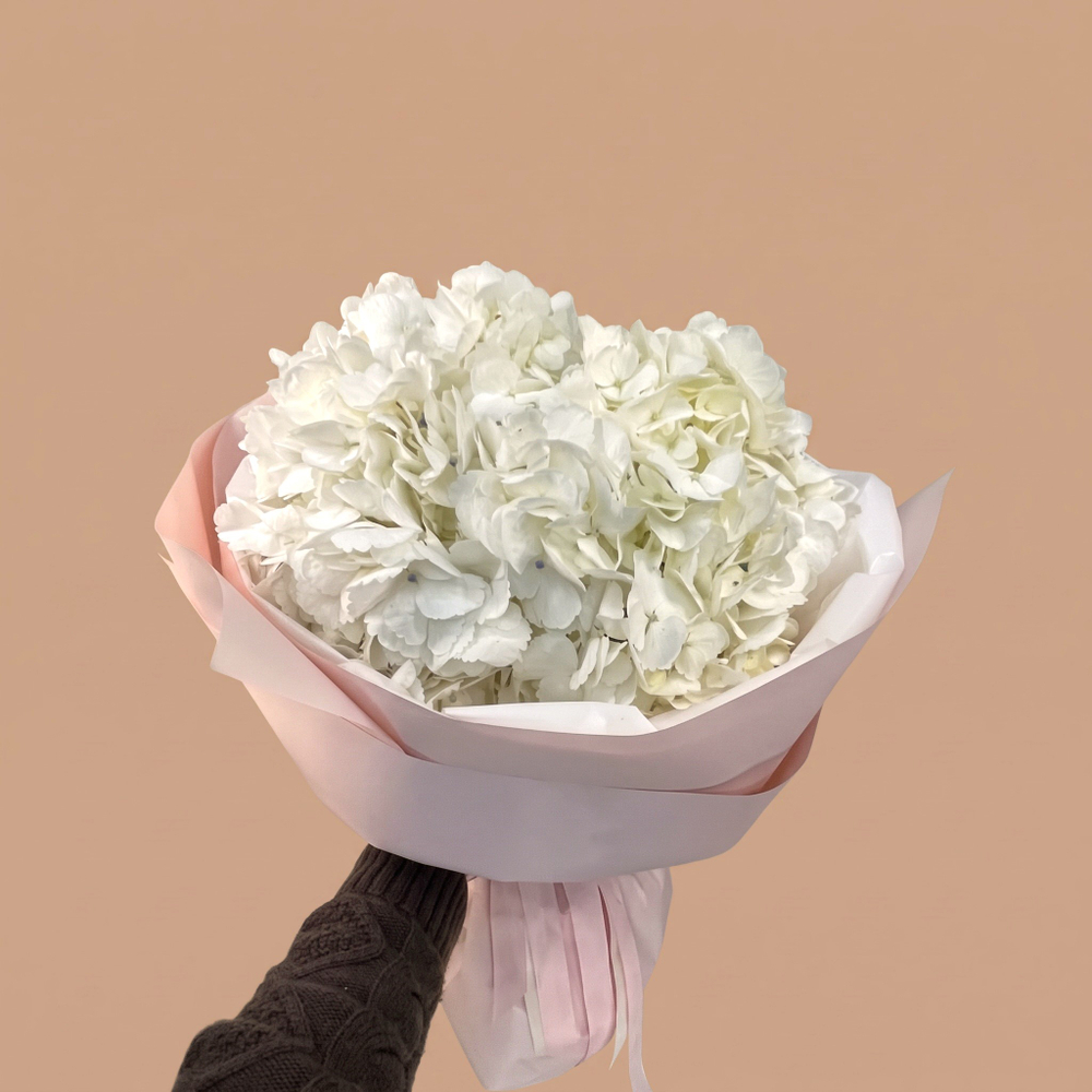 Три гортензии белого цвета Soft Trinity