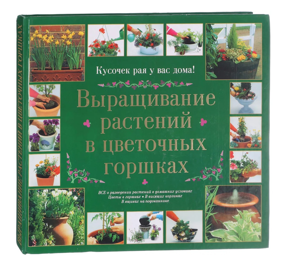 Выращивание растений в цветочных горшках