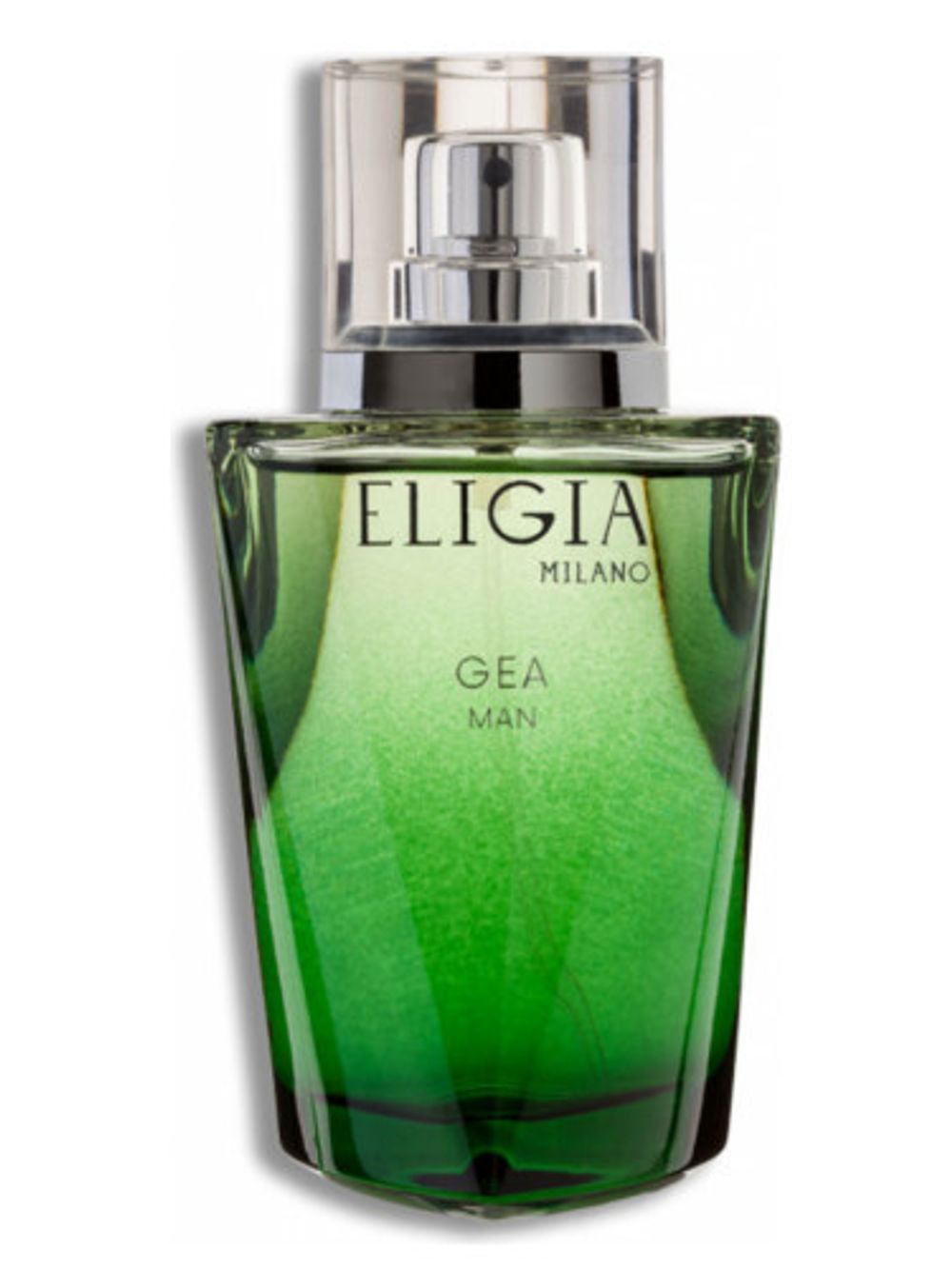 Eligia Gea Man