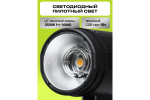 Комплект импульсного света Raylab Axio IV 250 Start Kit