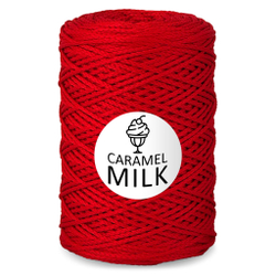 Шнур Caramel Milk, 3мм, 300м, 100% полиэфир (1 шт.)