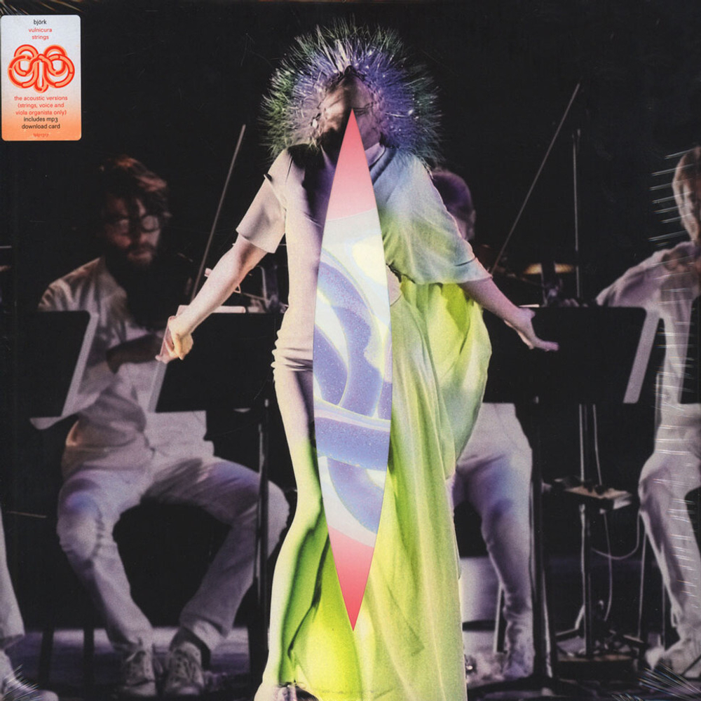 Bjork	Vulnicura Strings