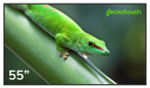 Панель Geckotouch 55DH