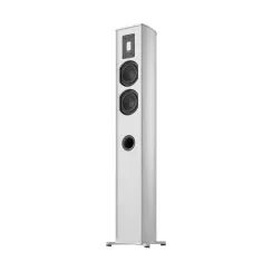Piega Premium 501 Silver