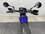 Kawasaki Super Sherpa , 2000