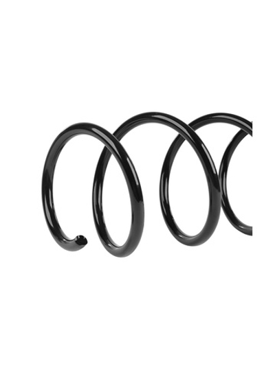 Пружина передняя L=R MERCEDES-BENZ C-Class 1.2007- GANZ GIK02624
