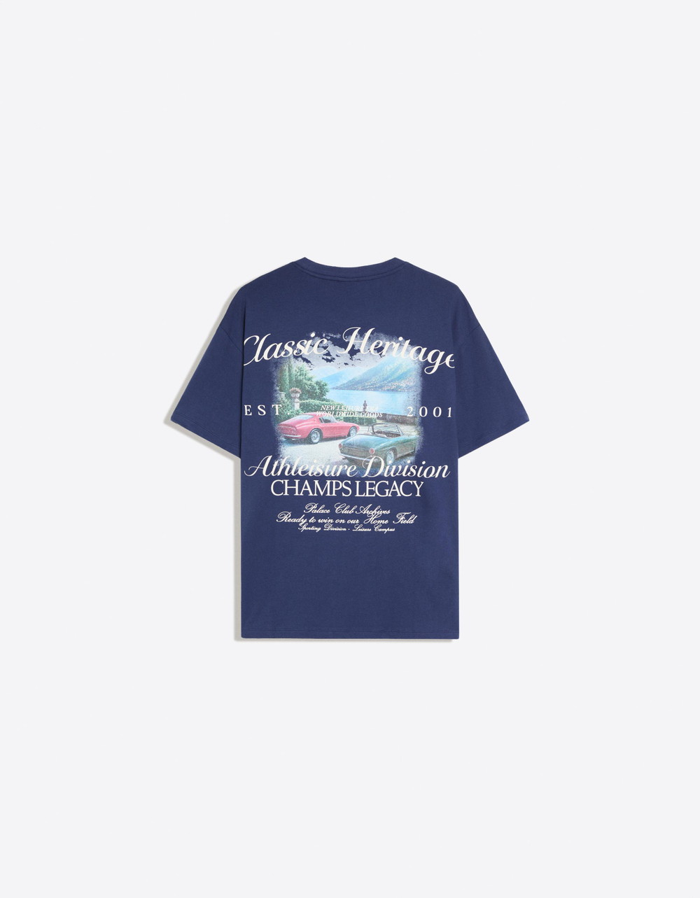 Мужская футболка relaxed fit с коротким рукавом и принтом, арт. 4304/218 - BERSHKA