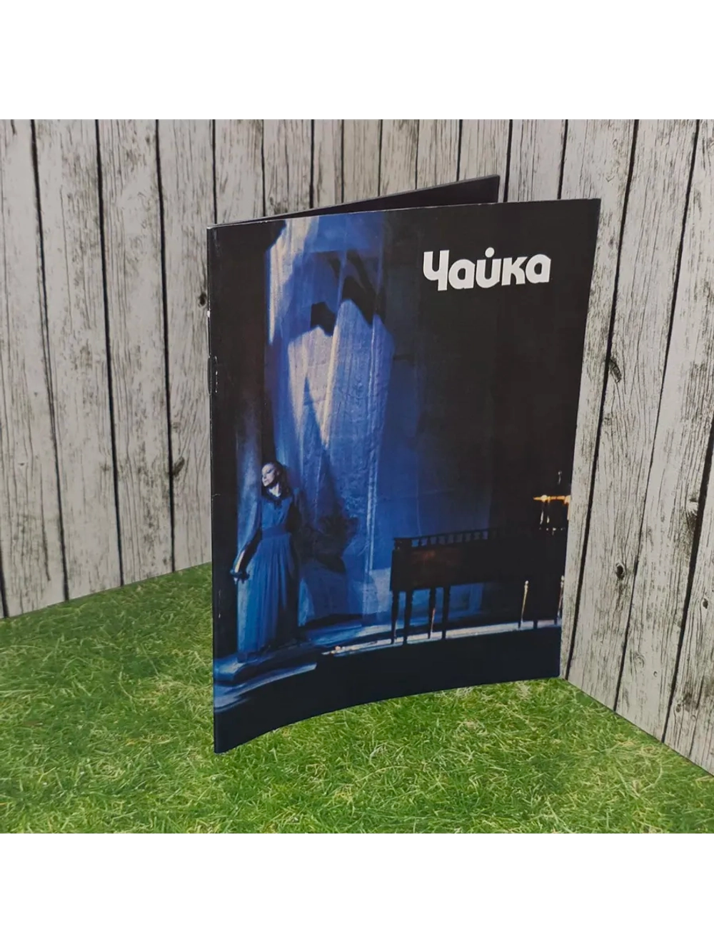 Чайка. Фотоальбом.
