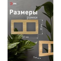 12-5002-11 ЭРА Рамка на 2 поста, Эра12, сосна | Эра 12