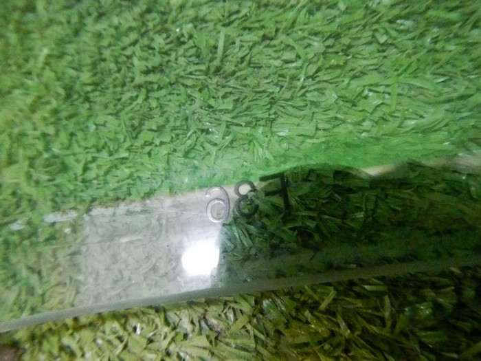 DSCN9665.jpg