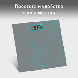 Напольные весы Tefal Premiss Maps Silver PP1435V0