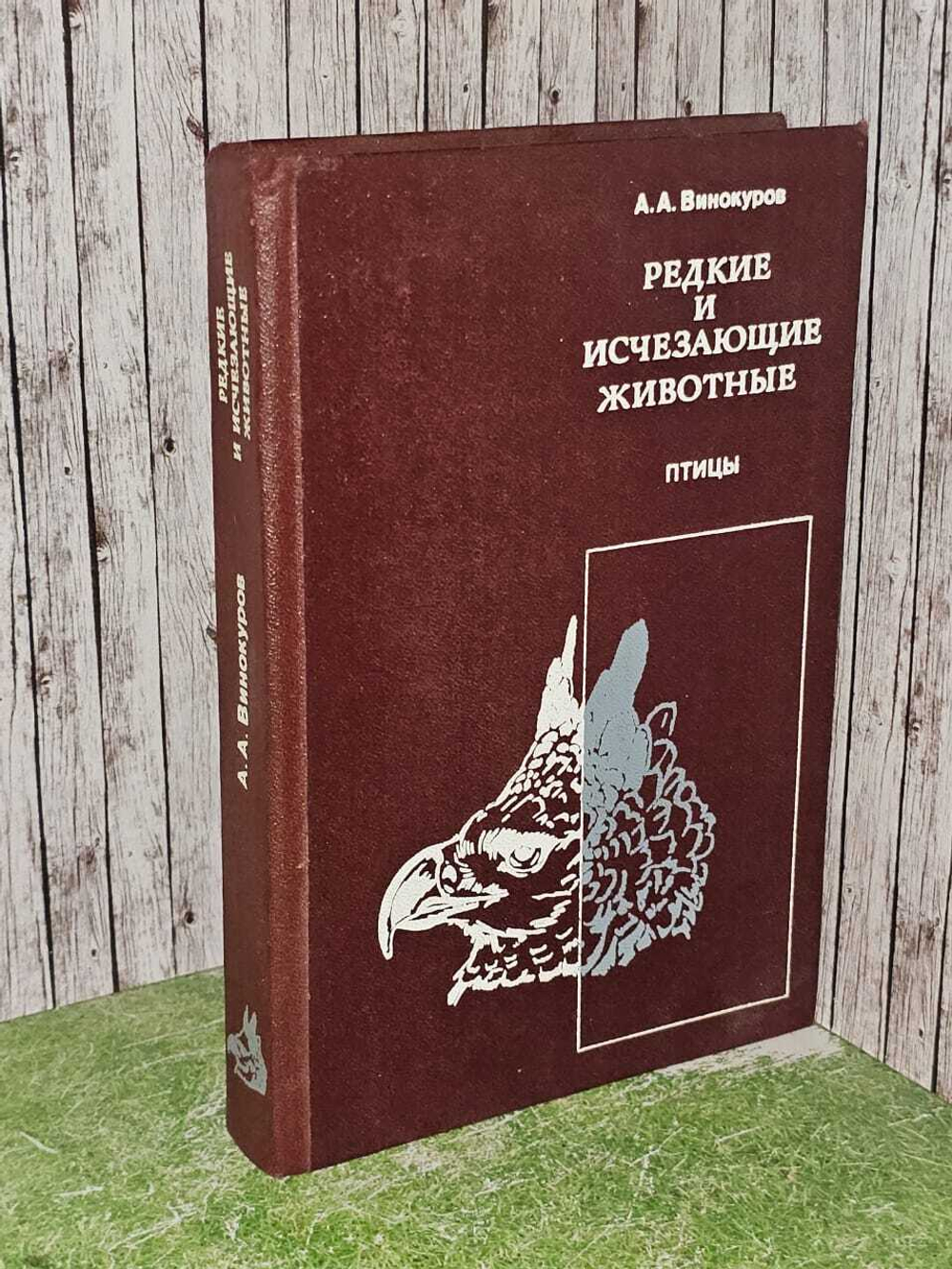 Редкие и исчезающие животные. Птицы