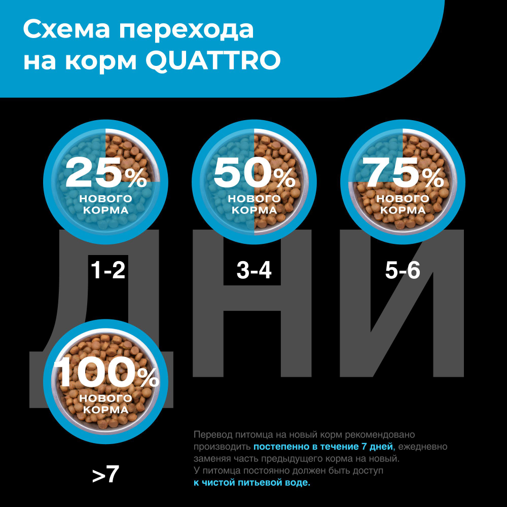 Корм сухой для взрослых собак породы Итальянский грейхаунд, с лососем, 800 гр, QUATTRO