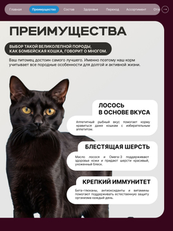 Корм сухой для взрослых кошек породы Бомбейская кошка, с лососем, 400 гр, QUATTRO
