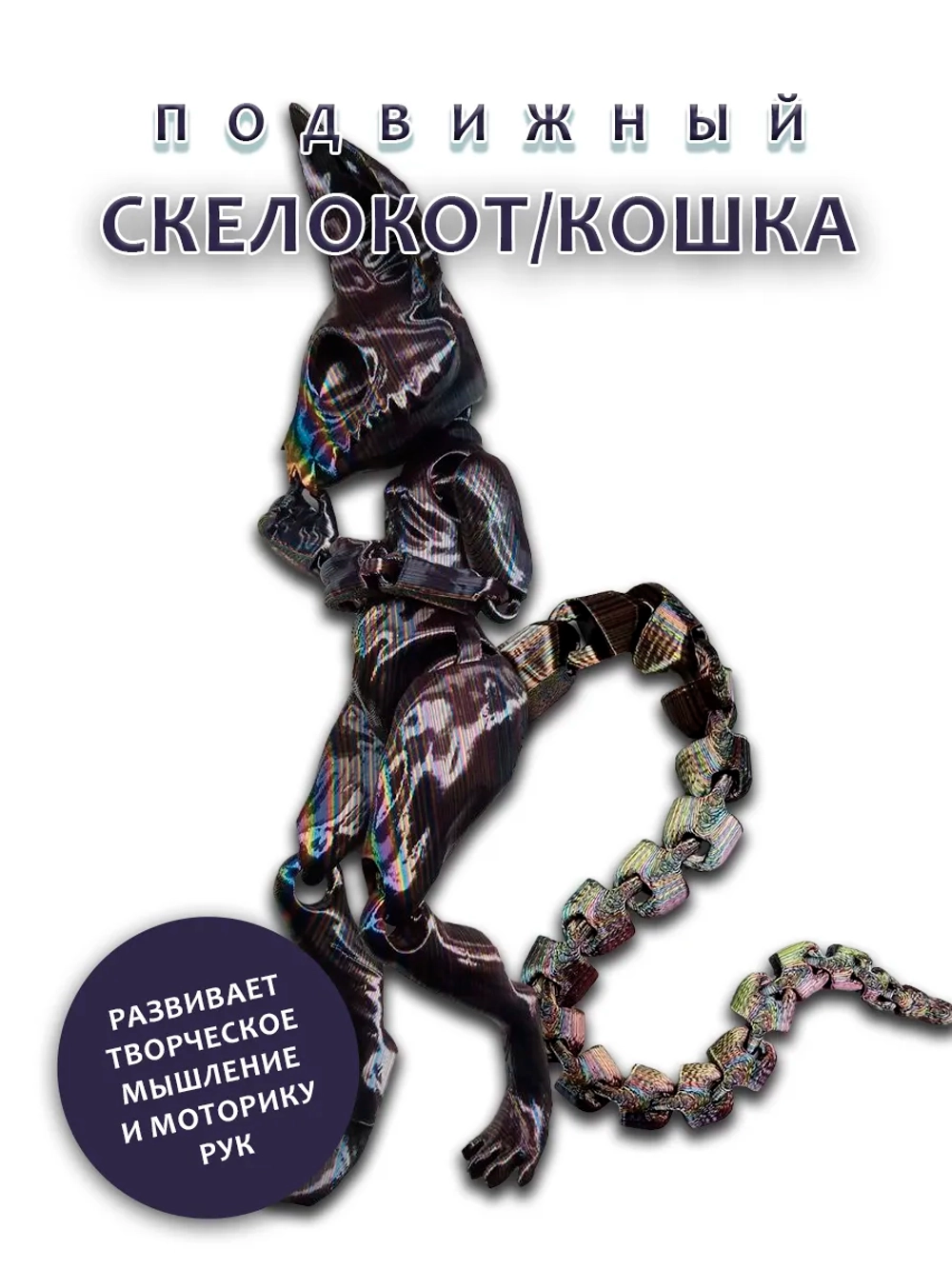 Скелет Кошки