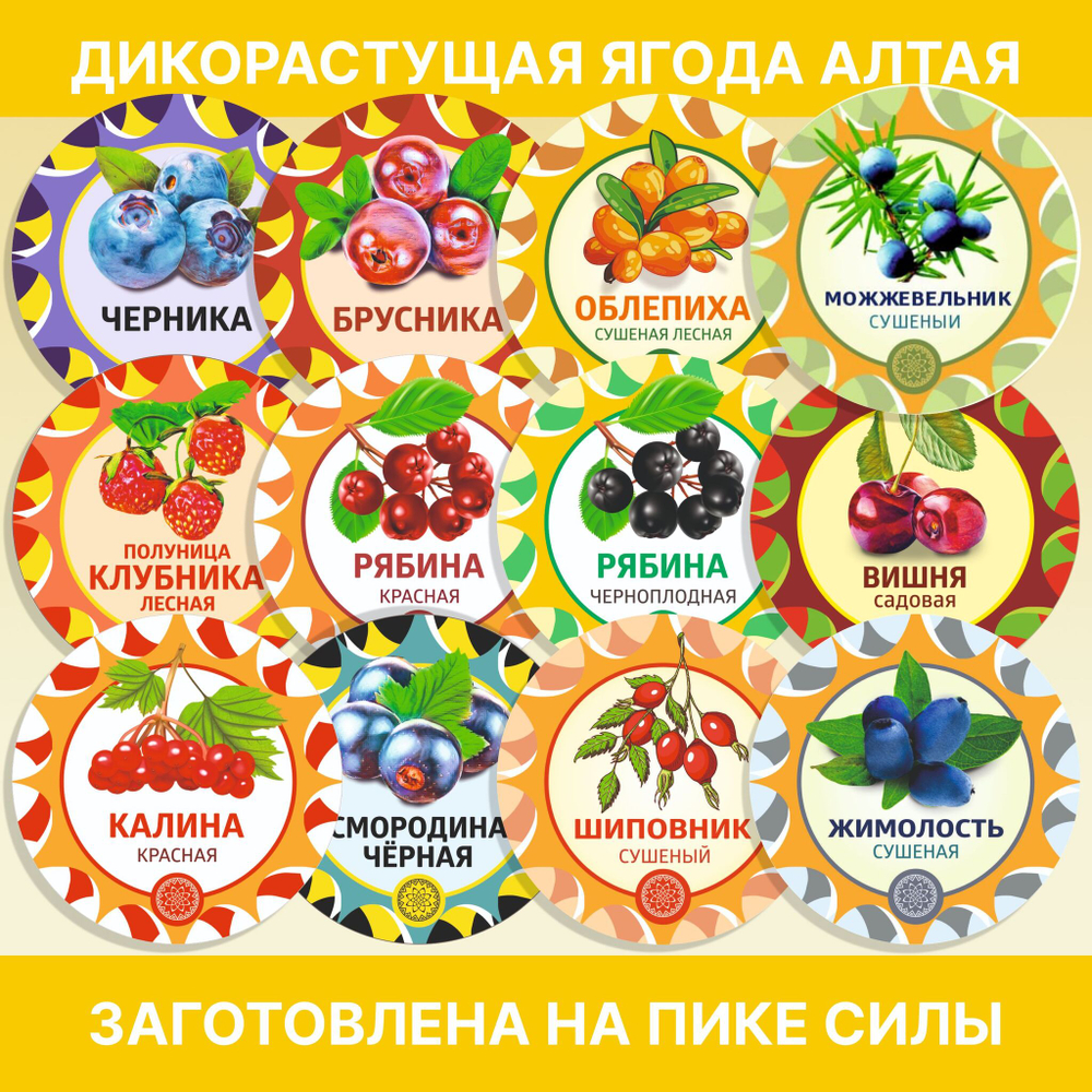 Патриния (корень)
