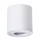 Потолочный светильник уличный Galopin A1460PL-1WH Arte Lamp