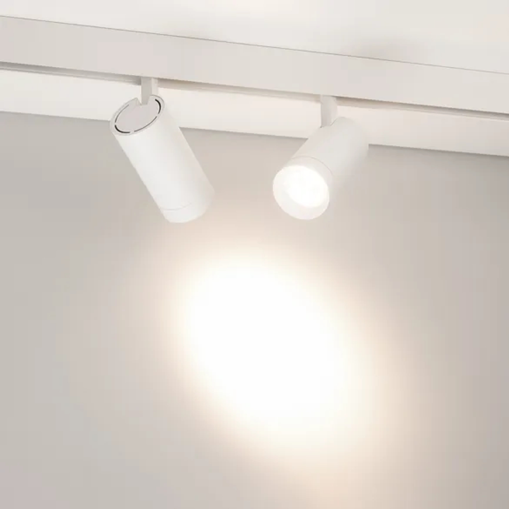 Светильник MAG-ORIENT-SPOT-R65-20W Day4000 (WH, 24 deg, 48V, DALI) (Arlight, IP20 Металл, 5 лет) 037123