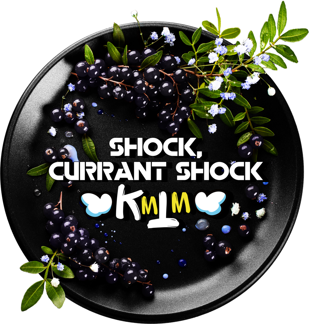 Black Burn - Shock Currant Shock (25г)