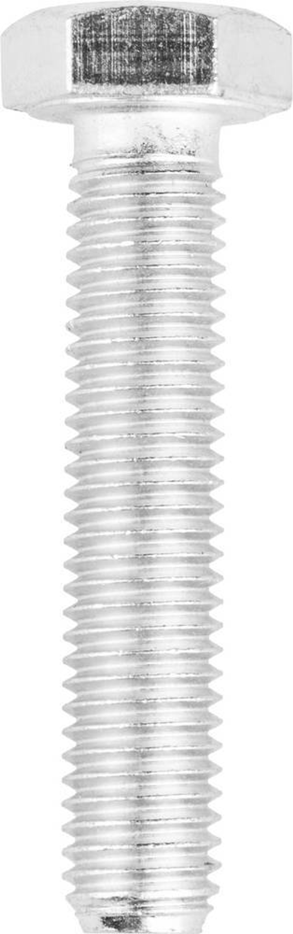 ЗУБР ГОСТ 7798-70, кл. пр. 5.8, M12 х 60 мм, цинк, 5 кг, болт (303080-12-060)