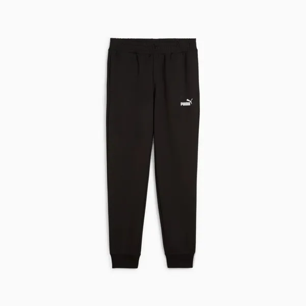 Брюки спортивные женские PUMA ESS Small No. 1 Logo Sweatpants TR cl