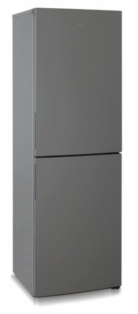 Холодильник Бирюса W6031