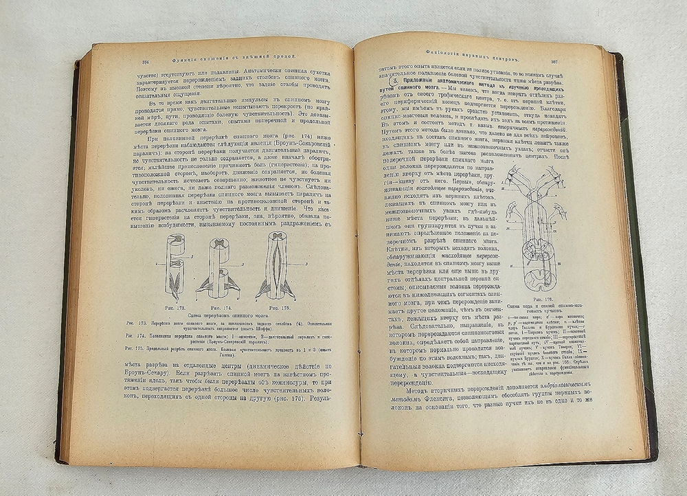 "Учебник физиологии". Професор Е.Гедон. 1911г.