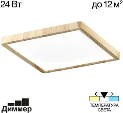 Настенно-потолочный светильник Бейсик CL738K242V Citilux
