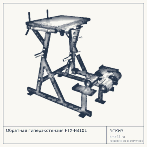 Обратная гиперэкстензия FTX-FB101 — от 85 000 ₽