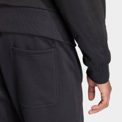 Брюки спортивные мужские ADIDAS M A SZN FL R PT