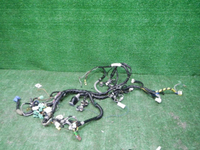 DSCN2242.JPG