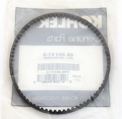 Ремень помпы для 4/6EFKD (66 203 01-S) (10249611)