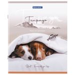 Тетрадь А5 48 л. BRAUBERG скоба, клетка, обложка картон, "Best Friends", 404360, 5шт