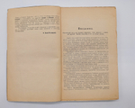 "Новейшая русская литература". 1924г. - раритет