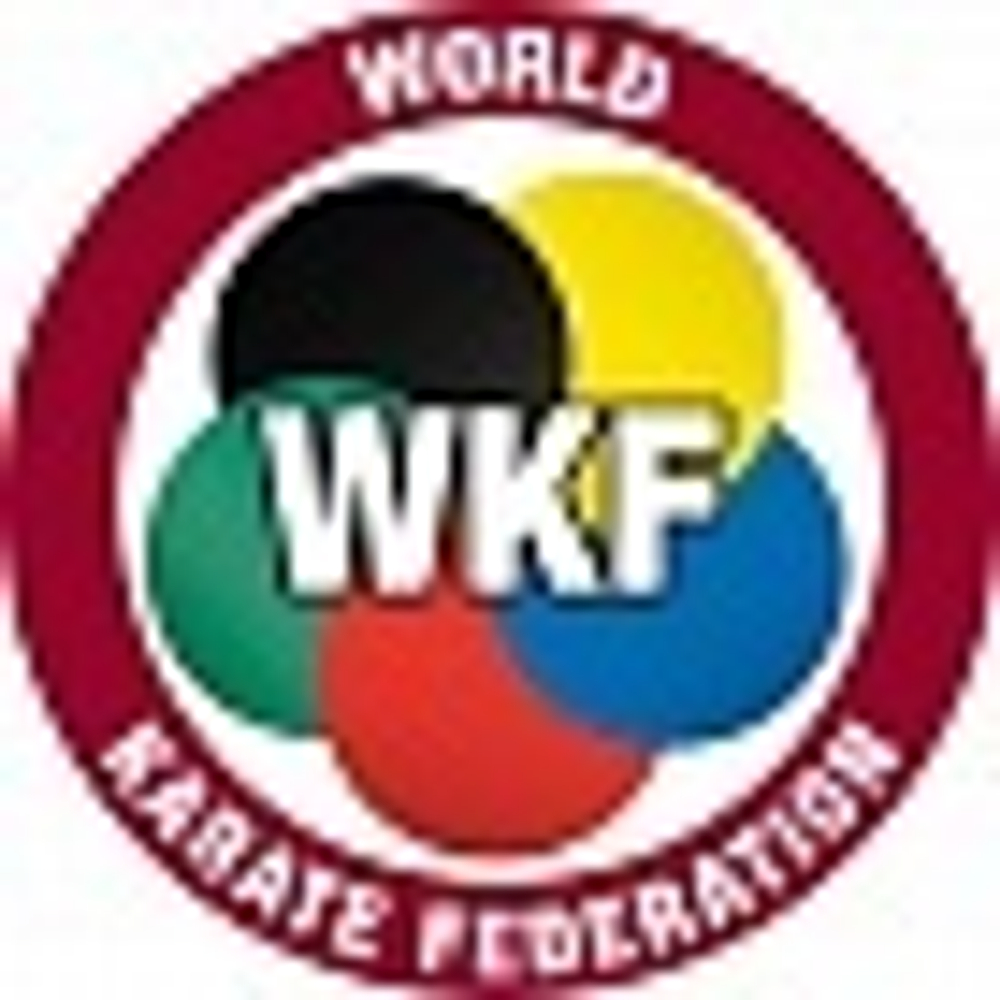 Защита паха мужская WKF Men Groin Guard