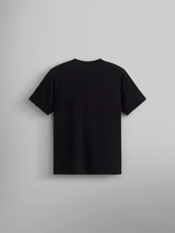 Футболка мужская ALPHA INDUSTRIES SS RELAXED TEE