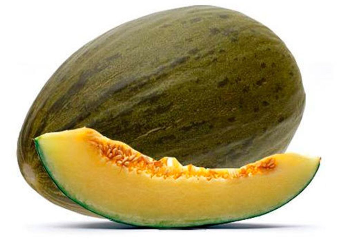 Дыня Piel de Sapo, шт