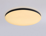 Накладной светильник Ambrella Light FZ FZ2004