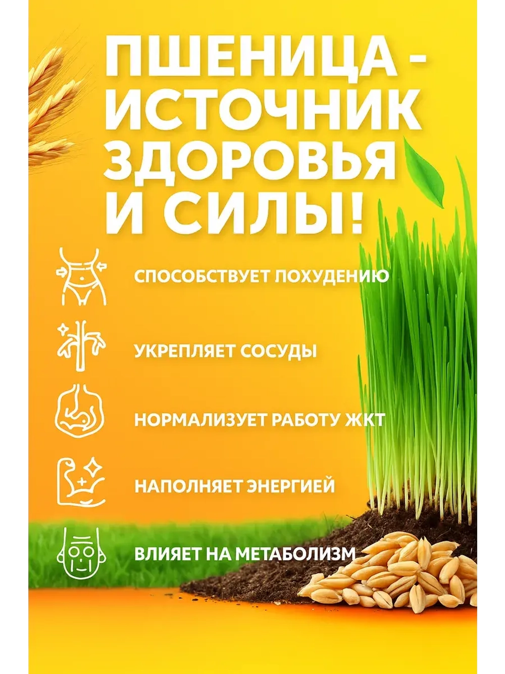 Пшеница для проращивания 5 кг
