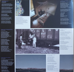 Megadeth / Youthanasia (2LP)