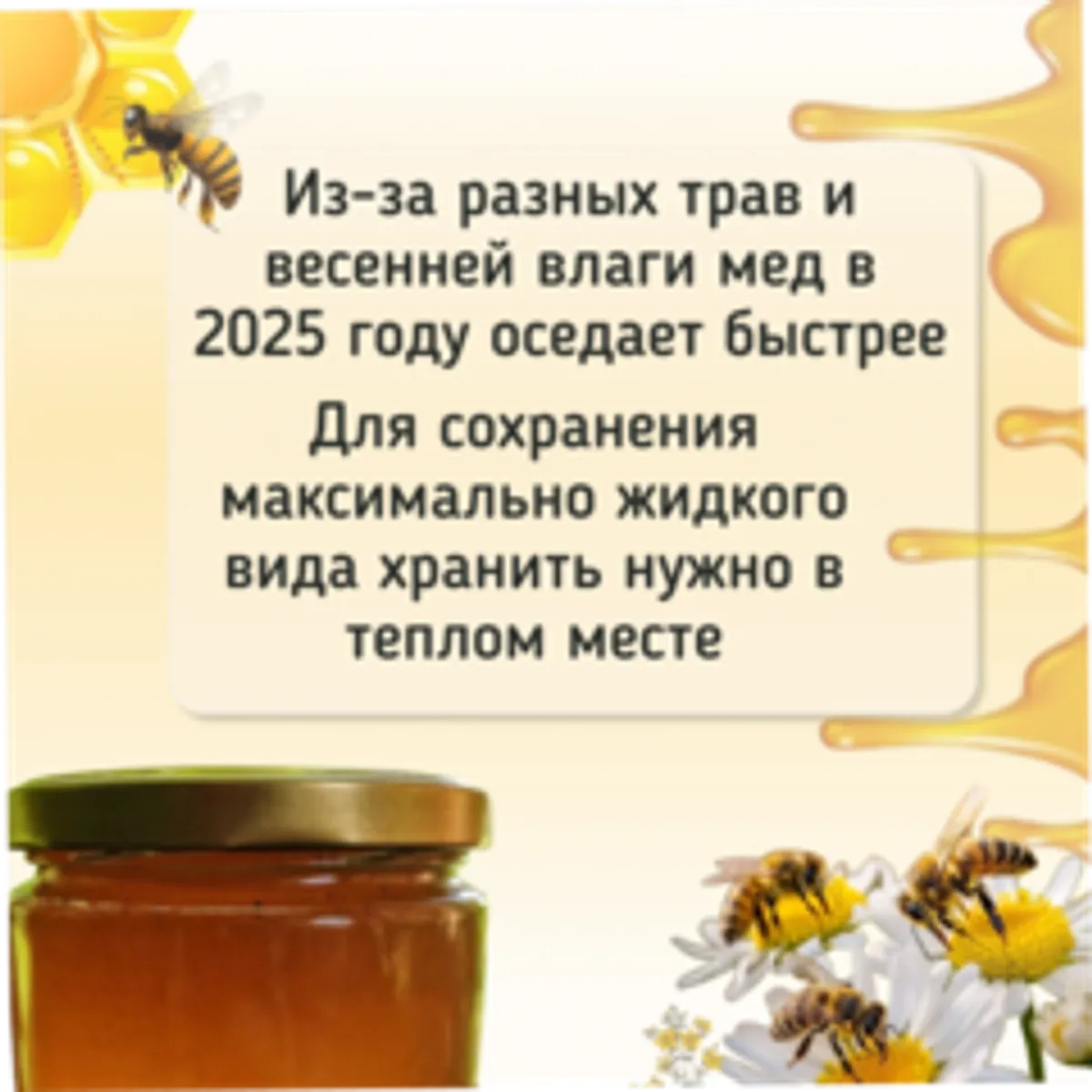 Мед Майский черноклена c травами / 650 гр