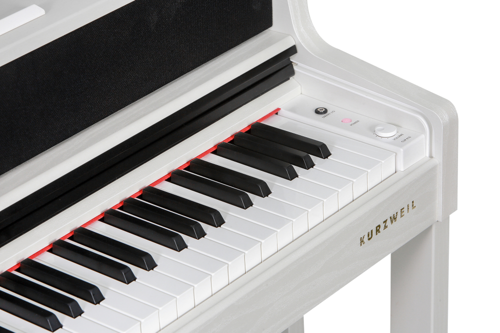 Kurzweil Andante CUP410
